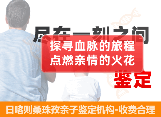 日喀则桑珠孜个人隐私亲子鉴定