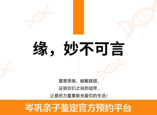 岑巩个人隐私亲子鉴定