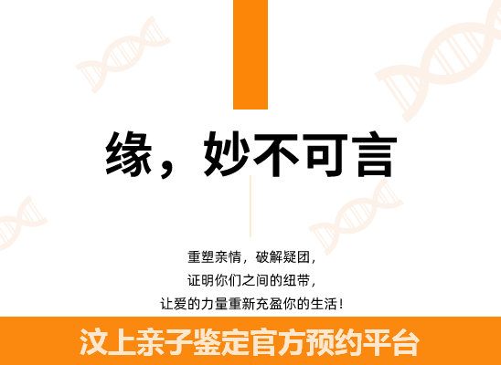 汶上个人隐私亲子鉴定