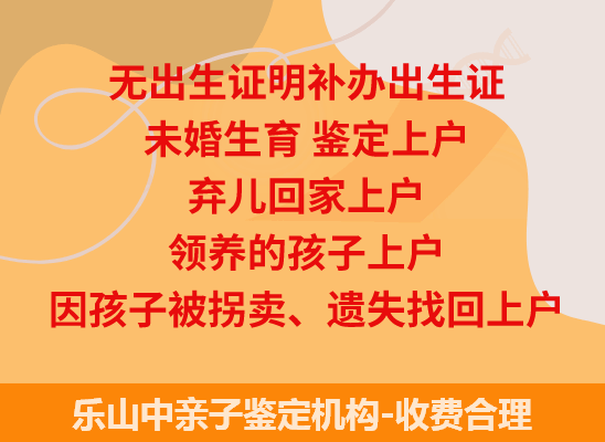 乐山中司法亲子鉴定