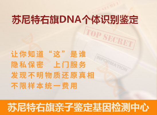 嵩县DNA个体识别鉴定