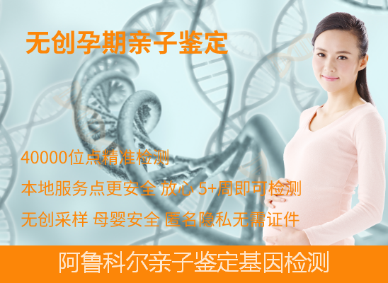 阿鲁科尔亲子鉴定无创