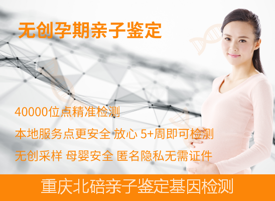 北碚产前无创dna亲子鉴定