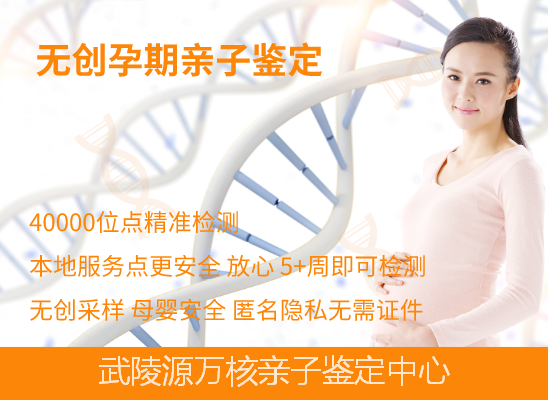武陵源怀孕期亲子鉴定