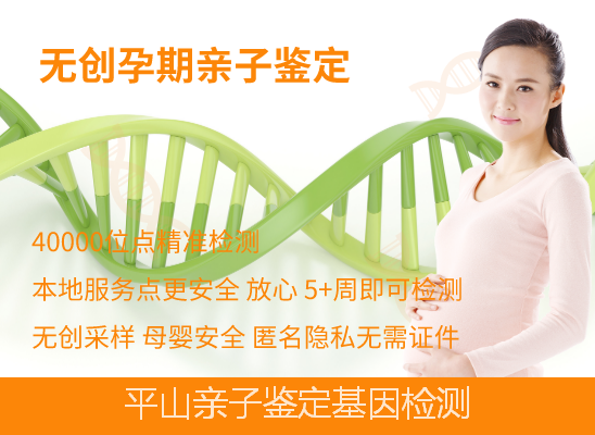 平山无创产前DNA亲子鉴定