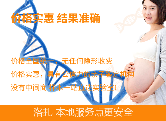 洛扎胎儿无创dna亲子鉴定 洛扎胎儿无创dna亲子鉴定