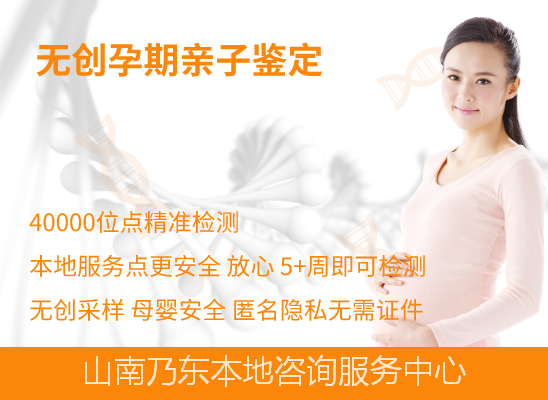山南乃东无创产前亲子鉴定
