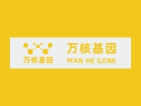 广州个人亲子鉴定DNA检测中心