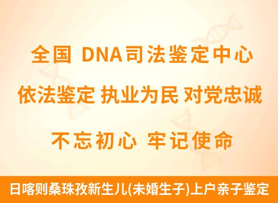日喀则桑珠孜新生儿(未婚生子)上户亲子鉴定