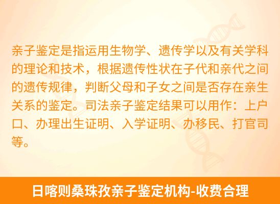 日喀则桑珠孜新生儿(未婚生子)上户亲子鉴定