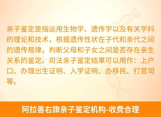 阿拉善右旗新生儿(未婚生子)上户亲子鉴定