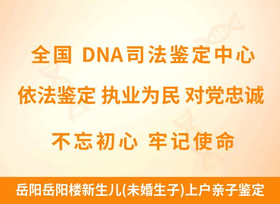 岳阳岳阳楼新生儿(未婚生子)上户亲子鉴定