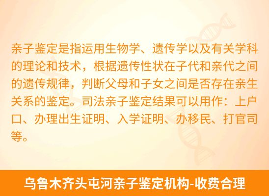 乌鲁木齐头屯河新生儿(未婚生子)上户亲子鉴定
