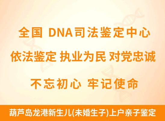葫芦岛龙港新生儿(未婚生子)上户亲子鉴定