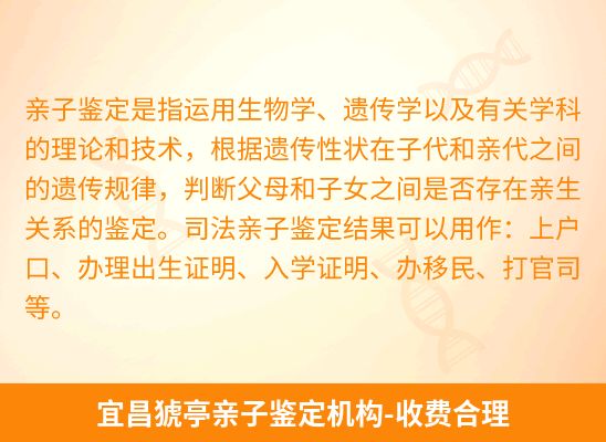 宜昌猇亭新生儿(未婚生子)上户亲子鉴定