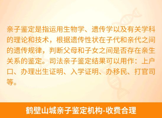 鹤壁山城新生儿(未婚生子)上户亲子鉴定