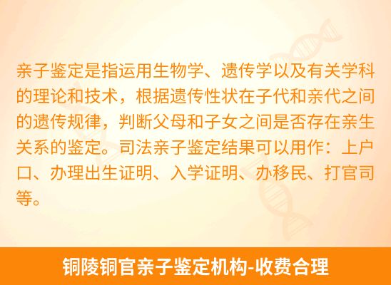 铜陵铜官新生儿(未婚生子)上户亲子鉴定