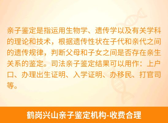 鹤岗兴山新生儿(未婚生子)上户亲子鉴定