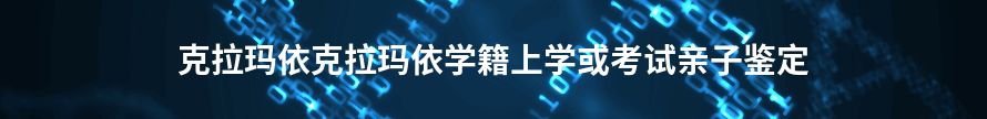 双鸭山学籍上学或考试亲子鉴定