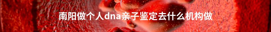 三门峡学籍上学或考试亲子鉴定