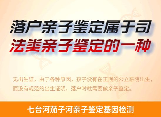 七台河茄子河学籍上学或考试亲子鉴定