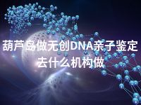 葫芦岛做无创DNA亲子鉴定去什么机构做