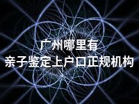 广州哪里有亲子鉴定上户口正规机构