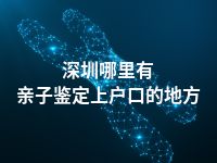 深圳哪里有亲子鉴定上户口的地方