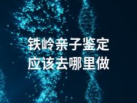 铁岭亲子鉴定应该去哪里做