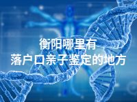 衡阳哪里有落户口亲子鉴定的地方