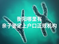 衡阳哪里有亲子鉴定上户口正规机构