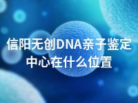 信阳无创DNA亲子鉴定中心在什么位置