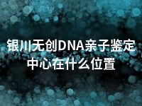 银川无创DNA亲子鉴定中心在什么位置