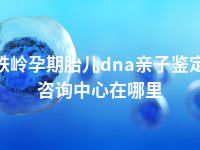 铁岭孕期胎儿dna亲子鉴定咨询中心在哪里