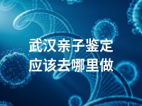 武汉亲子鉴定应该去哪里做