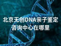 北京无创DNA亲子鉴定咨询中心在哪里