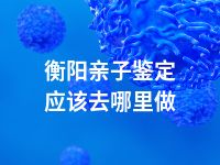衡阳亲子鉴定应该去哪里做
