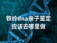 铁岭dna亲子鉴定应该去哪里做