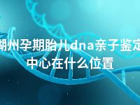 湖州孕期胎儿dna亲子鉴定中心在什么位置