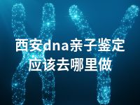 西安dna亲子鉴定应该去哪里做