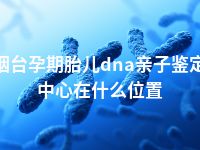 烟台孕期胎儿dna亲子鉴定中心在什么位置