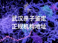 武汉亲子鉴定正规机构地址