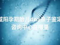咸阳孕期胎儿dna亲子鉴定咨询中心在哪里