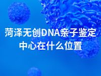 菏泽无创DNA亲子鉴定中心在什么位置