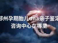郑州孕期胎儿dna亲子鉴定咨询中心在哪里