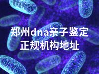 郑州dna亲子鉴定正规机构地址