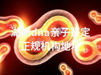 湖州dna亲子鉴定正规机构地址