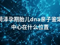菏泽孕期胎儿dna亲子鉴定中心在什么位置