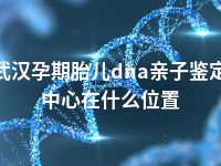 武汉孕期胎儿dna亲子鉴定中心在什么位置