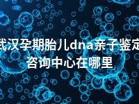 武汉孕期胎儿dna亲子鉴定咨询中心在哪里